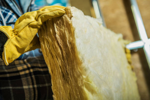 Best Commercial Insulation in Osceola, IA